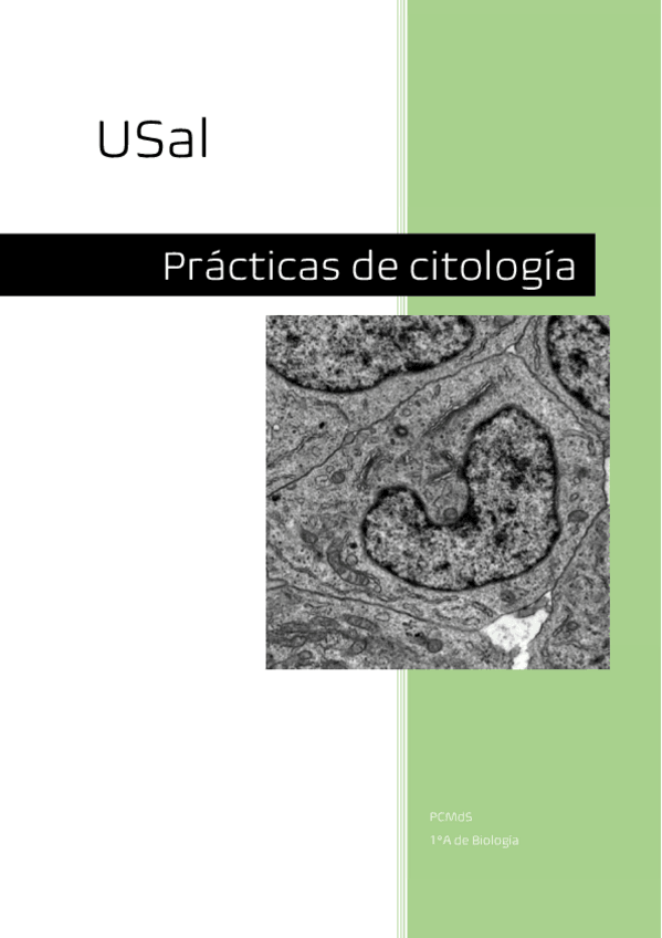 Miniatura del documento PRACTICAS-DE-CITOLOGIA.pdf