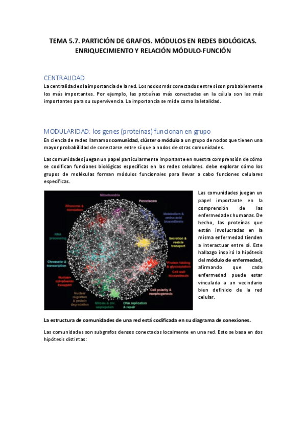 Miniatura del documento Apuntes-Tema-5.pdf