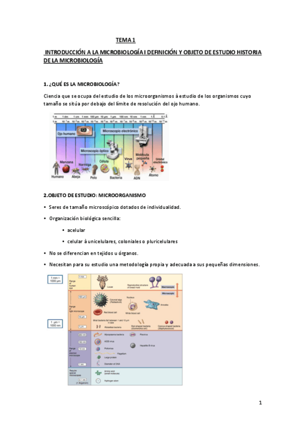 Miniatura del documento TEMA-1-micro-word.pdf