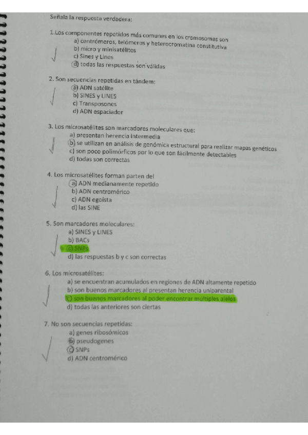 Miniatura del documento test-1.pdf