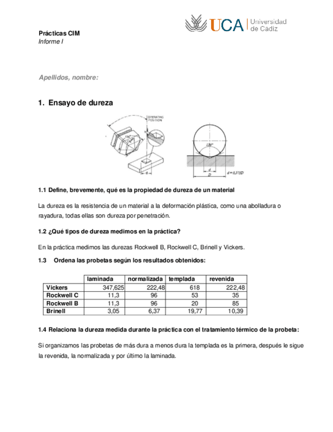 Miniatura del documento informe-I.pdf