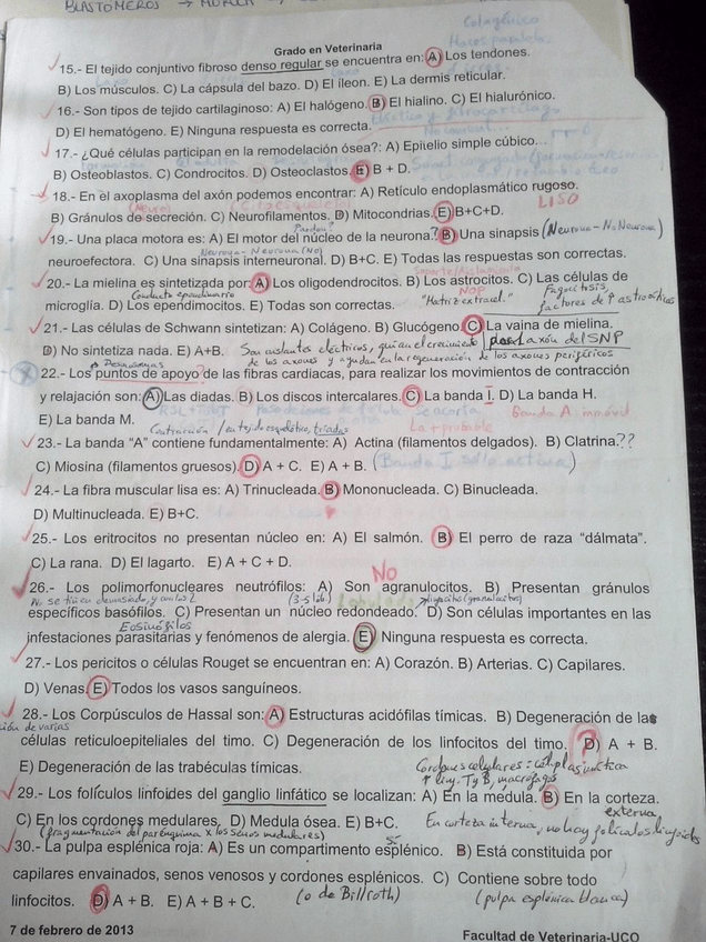 Miniatura del documento IMG-20141226-WA0018.jpg