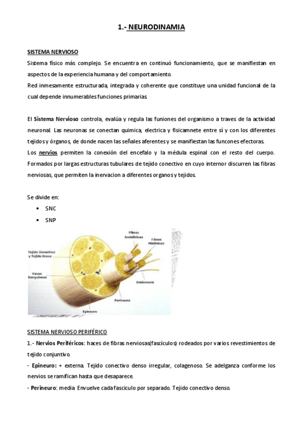 Miniatura del documento Temario-Completo-Clinicas-III-.pdf