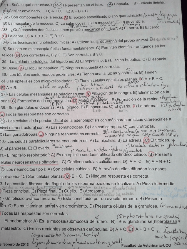 Miniatura del documento IMG-20141226-WA0019.jpg