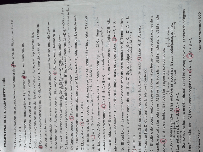 Miniatura del documento IMG-20141226-WA0020.jpg