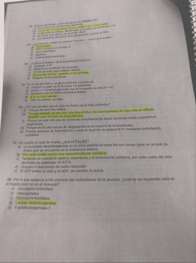 Miniatura del documento PHOTO-2020-01-20-18-51-35.jpg
