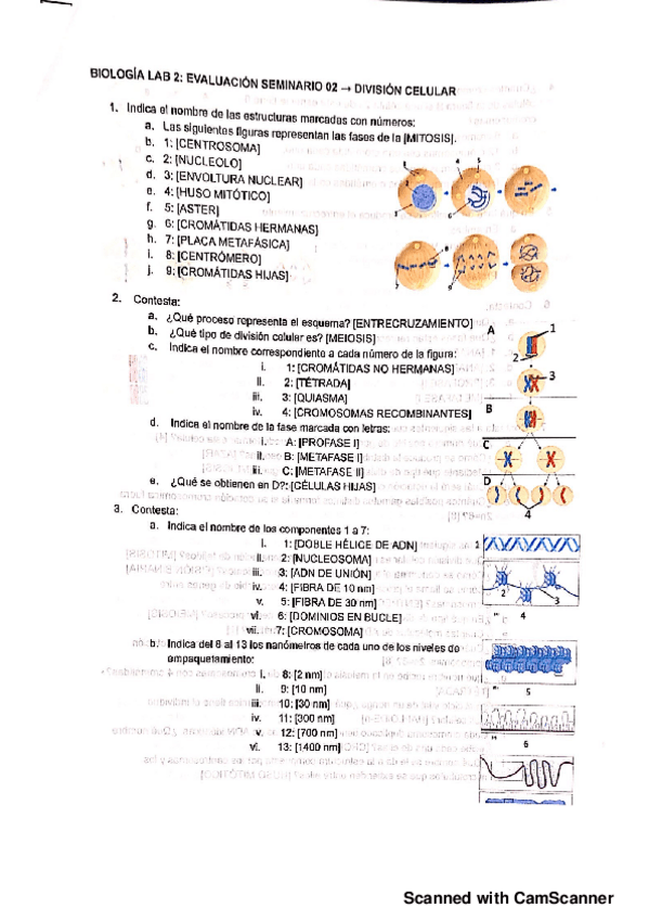 Miniatura del documento Bio-test-lab-2.pdf