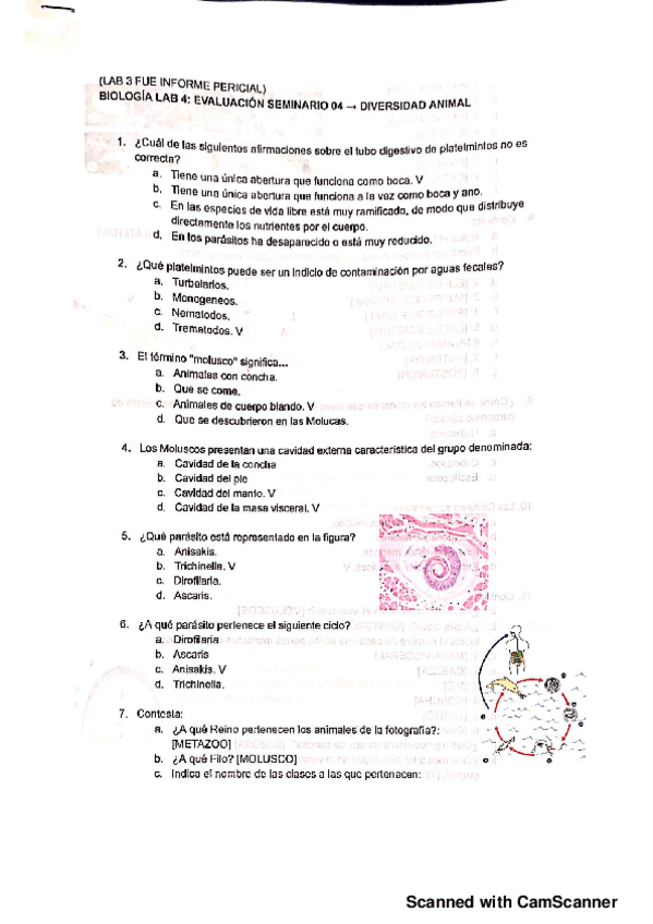Miniatura del documento Bio-test-lab-4.pdf