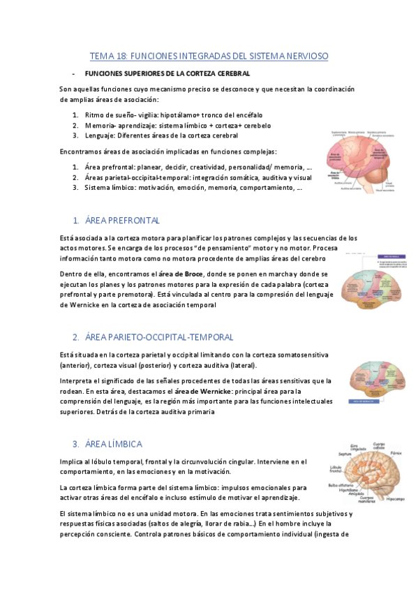Miniatura del documento TEMA-18.pdf