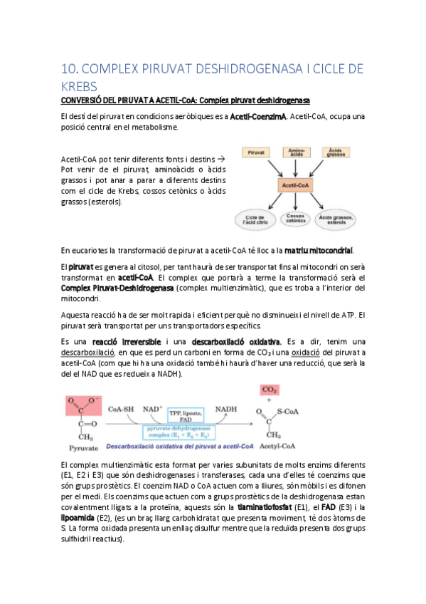 Miniatura del documento 10.pdf