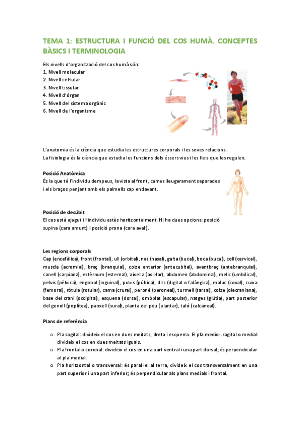 Miniatura del documento TEMARI-FISIOLOGIA-HUMANA.pdf