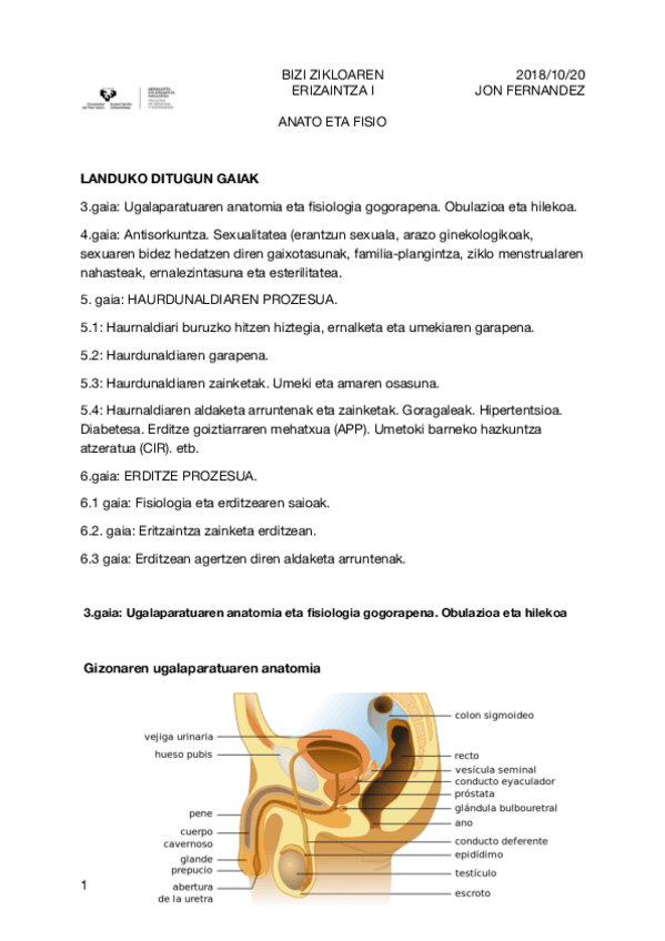 Miniatura del documento 1.pdf