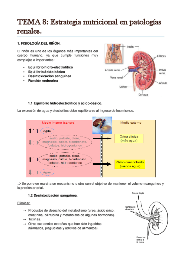 Miniatura del documento TEMA 8. Estrategia nutricional en patologías renales..pdf