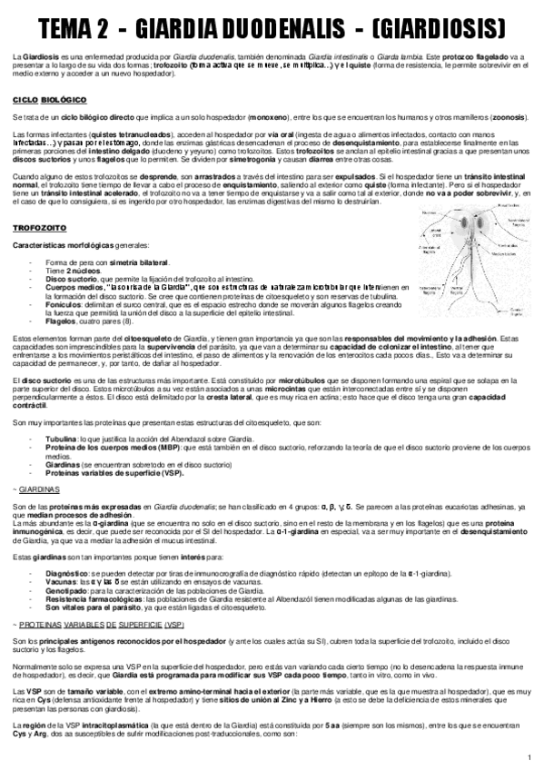 Miniatura del documento TEMA 2 - ENF. PARA.pdf