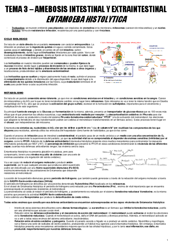 Miniatura del documento TEMA 3 - ENF. PARA.pdf