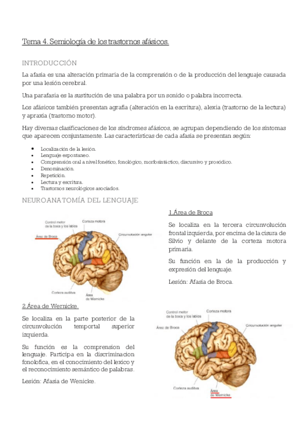 Miniatura del documento Neuropsicologia-T-45-y-6.pdf