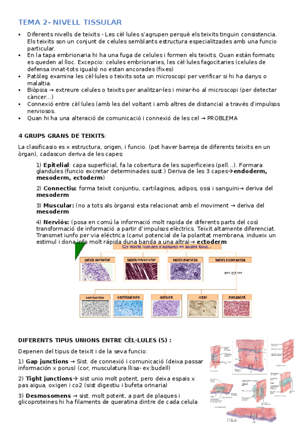 Miniatura del documento TEMA2-nivell-tissuar.docx