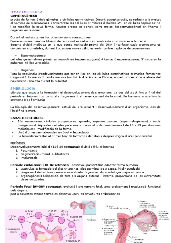 Miniatura del documento TEMA1-embriologia.docx