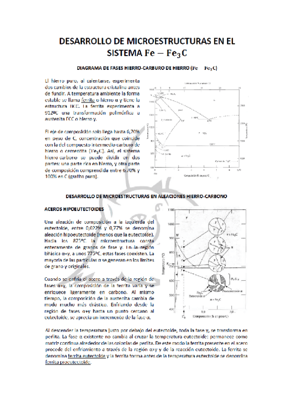 Miniatura del documento El-Sistema-Fe-Fe3C.pdf