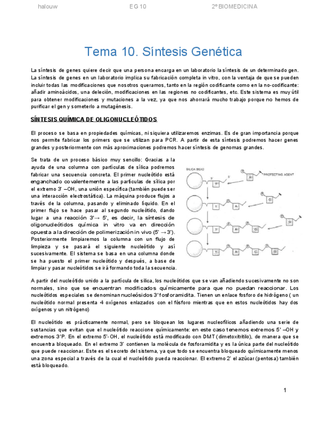 Miniatura del documento TEMA-10-INGENIERIA-GENETICA.pdf