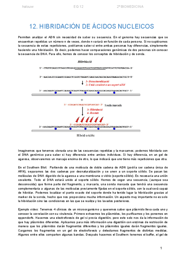Miniatura del documento INGENIERIA-GENETICA-TEMA-12.pdf