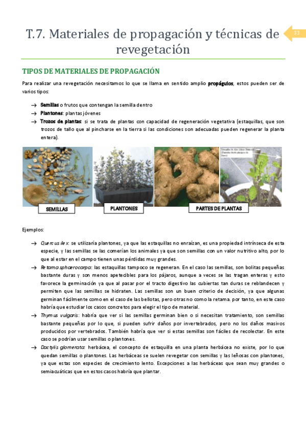 Miniatura del documento T.pdf