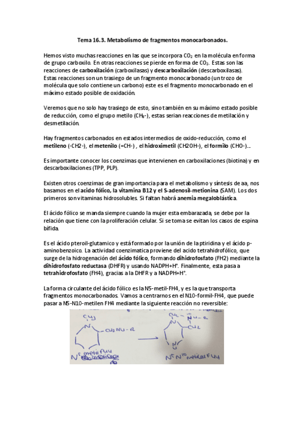 Miniatura del documento Tema-16.pdf