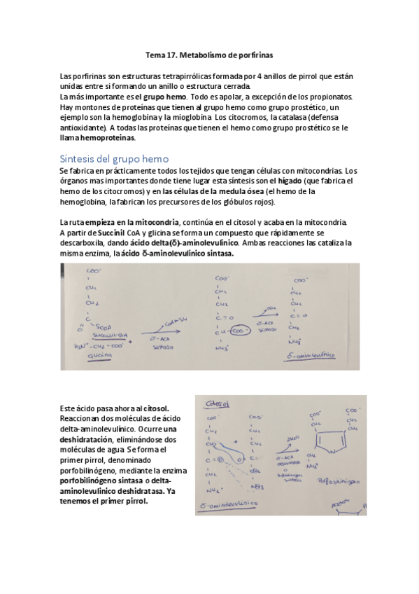 Miniatura del documento Tema-17.pdf