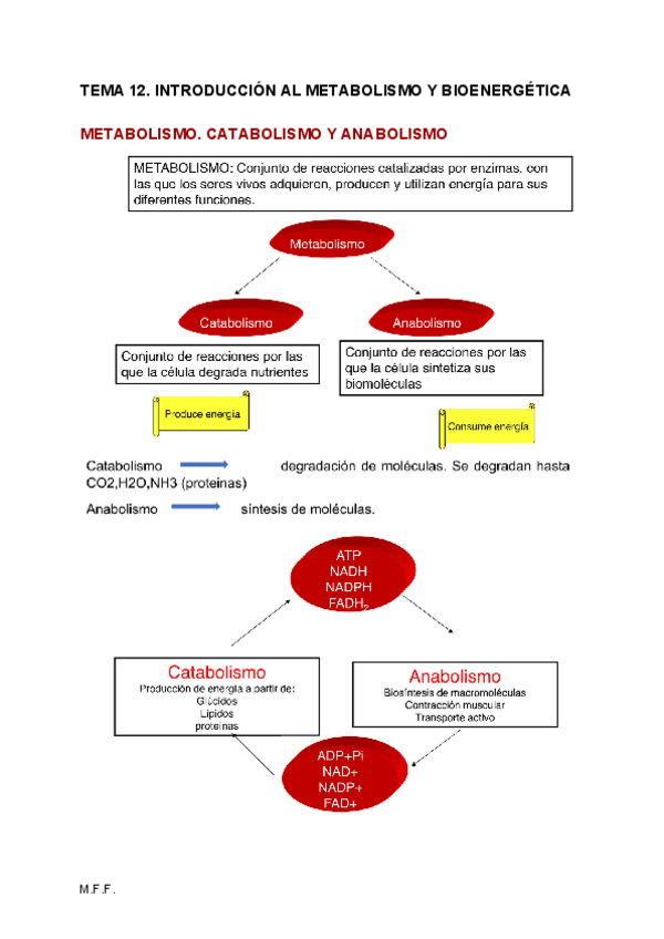 Miniatura del documento 2-PARCIAL-BIOQUIMICA.pdf