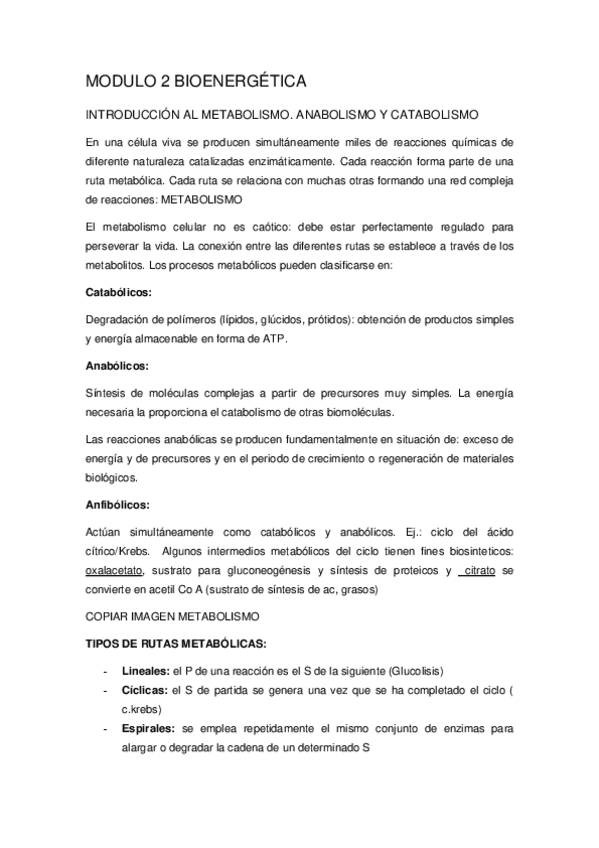 Miniatura del documento modulo 2 bioenergética.pdf