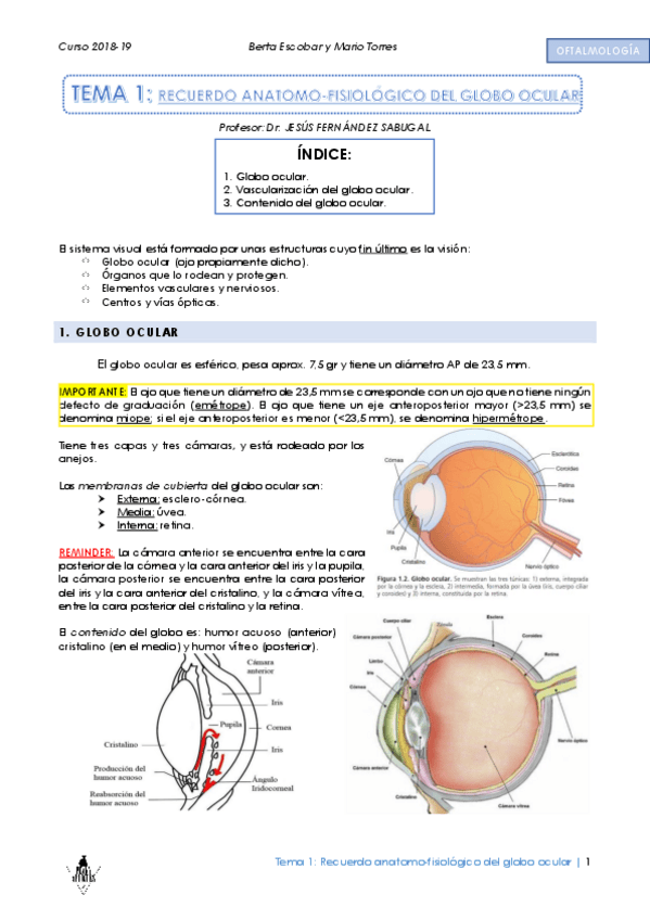 Miniatura del documento T1.pdf