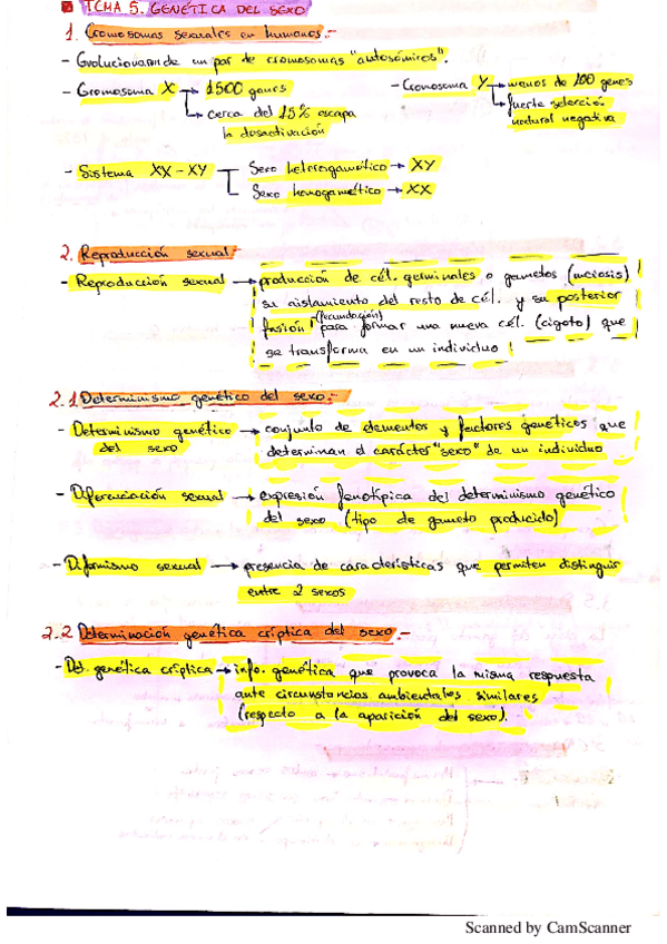 Miniatura del documento Tema-5-Genetica.pdf