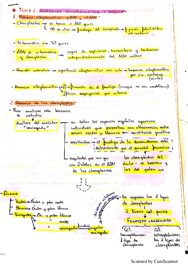 Miniatura del documento Tema-6-Genetica.pdf