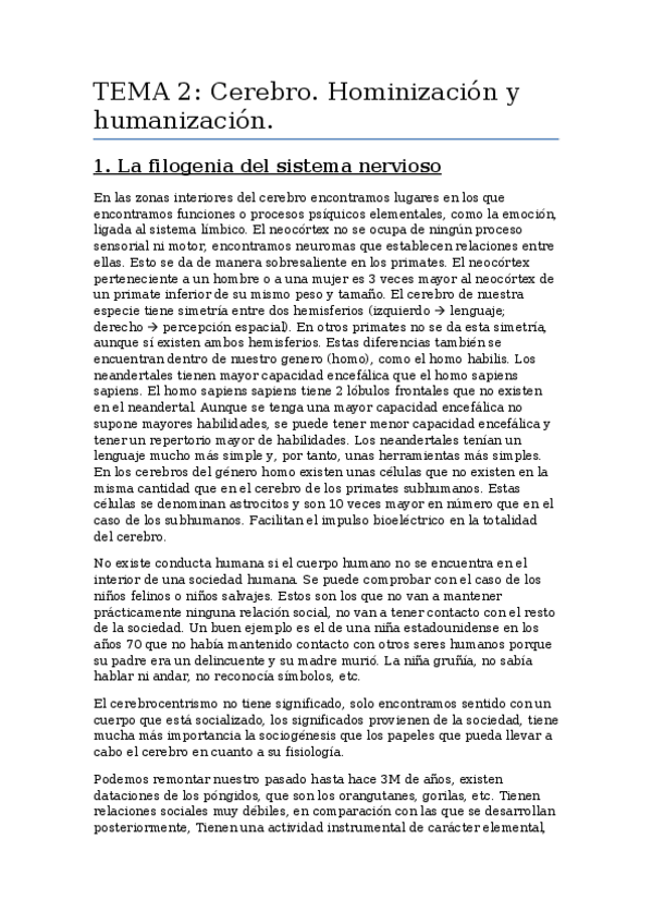 Miniatura del documento TEMA-2.docx