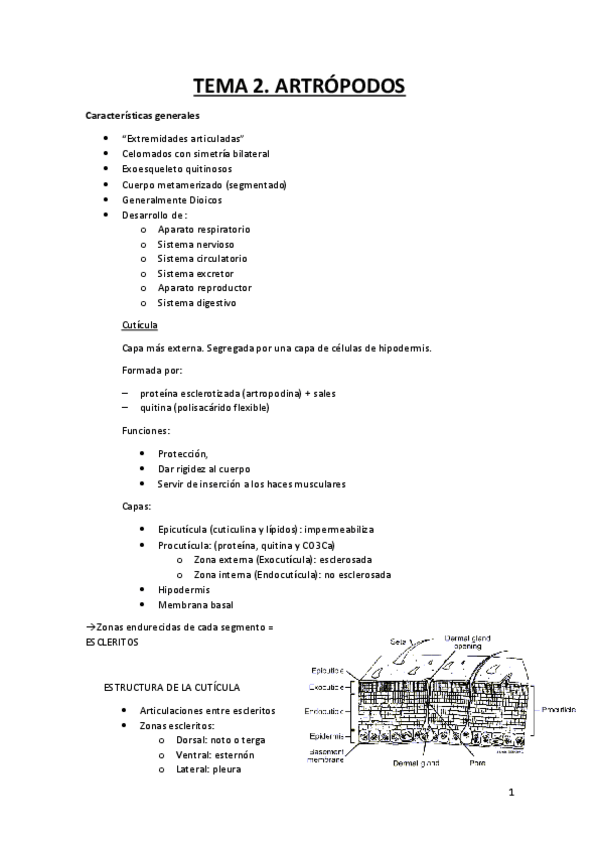 Miniatura del documento T2.pdf