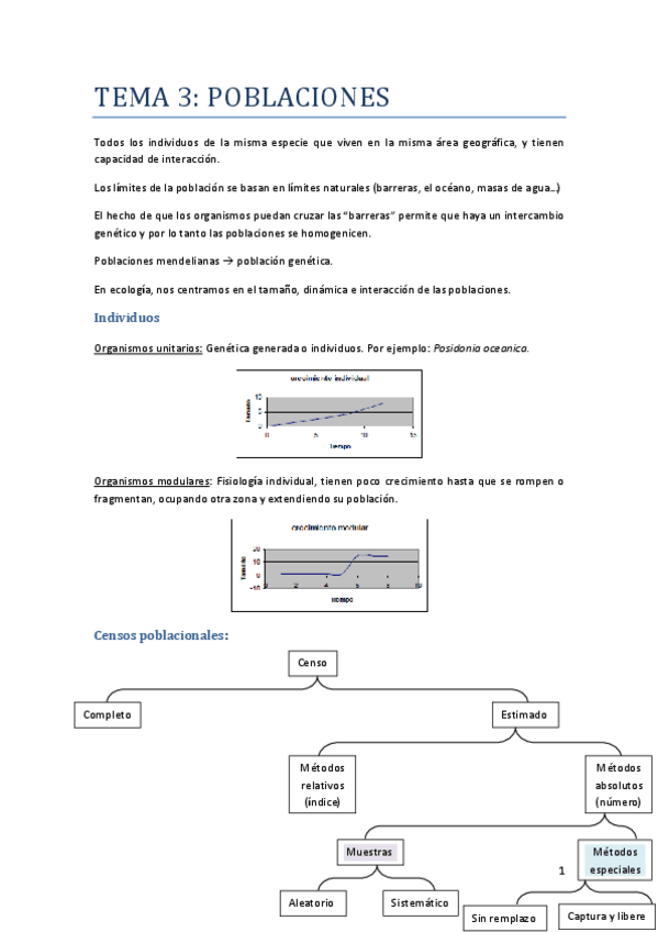 Miniatura del documento T3.pdf