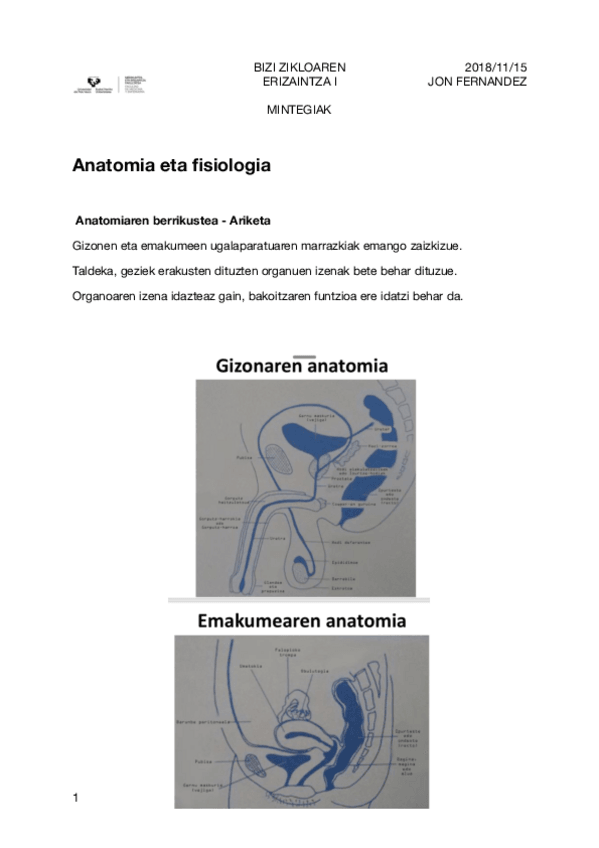 Miniatura del documento 10.pdf