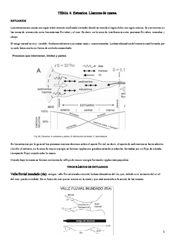 Miniatura del documento TEMA-6-SEDIMENTOLOGIA.pdf