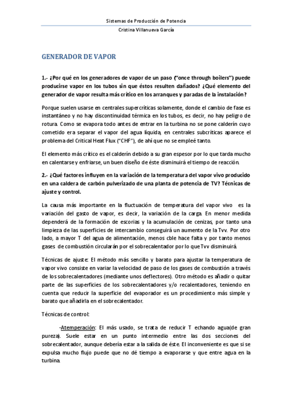 Miniatura del documento GENERADOR DE VAPOR.pdf