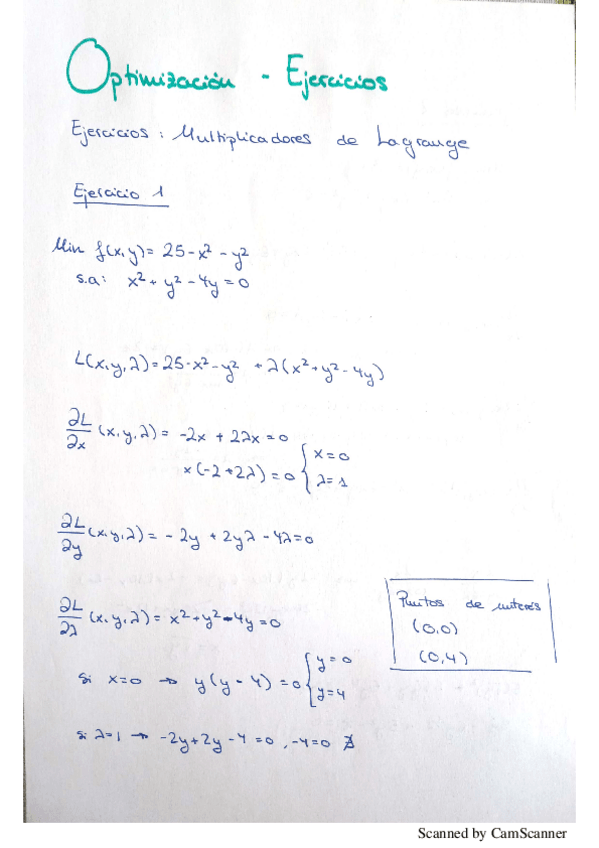 Miniatura del documento Opt-Ejercicios-para-examen.pdf