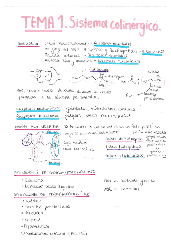 Miniatura del documento TEMA 1. Sistema Colinérgico.pdf