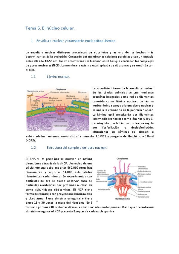 Miniatura del documento Tema-5.pdf