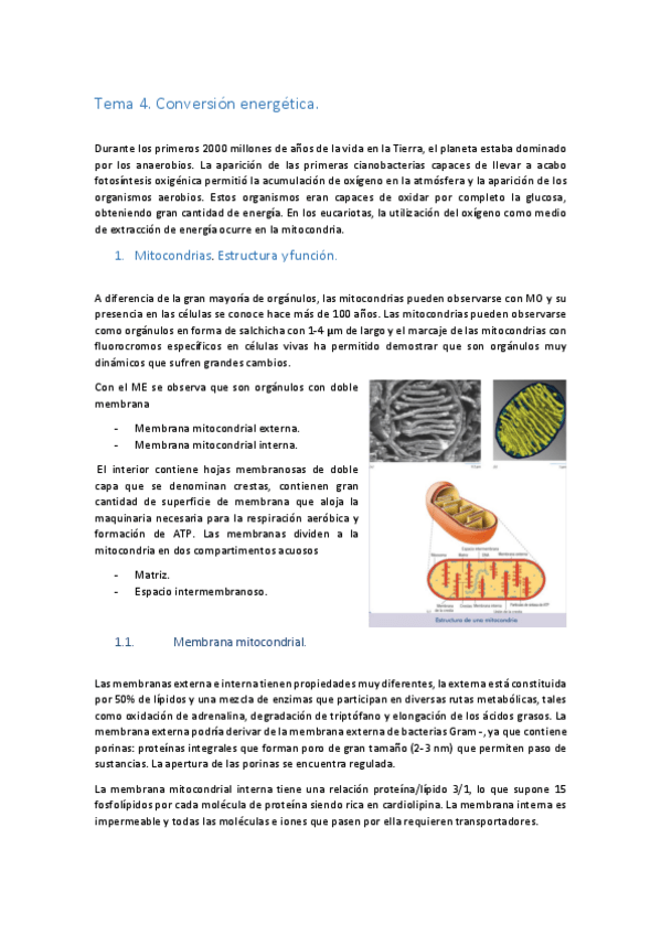 Miniatura del documento Tema-4.pdf