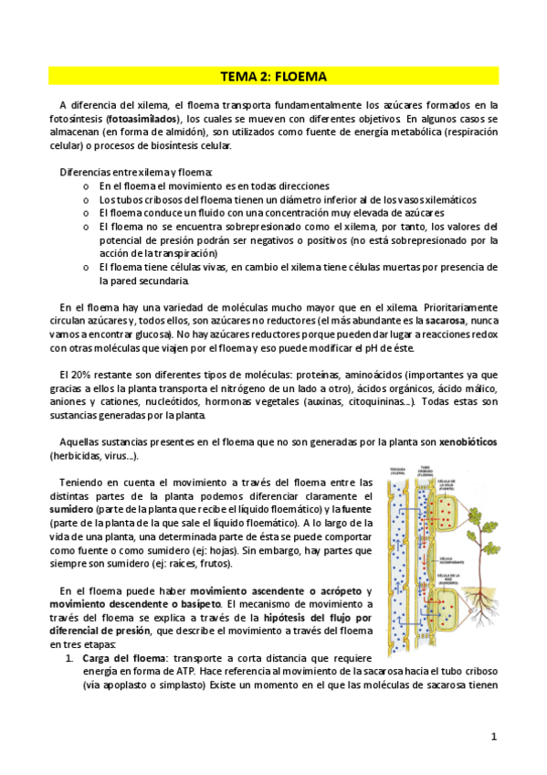 Miniatura del documento FISIOLOGIA-T2.pdf