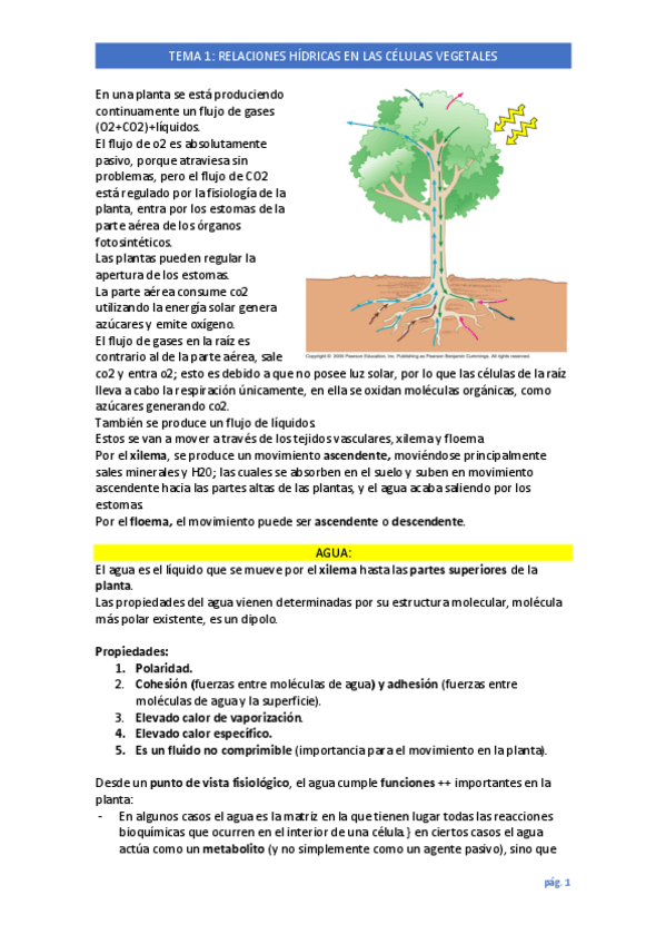 Miniatura del documento FISIOLOGIA-VEGETAL-T1.pdf