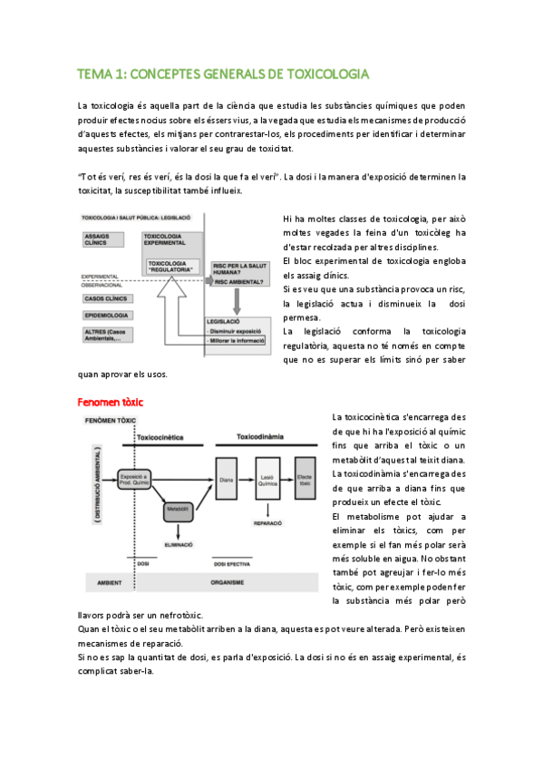 Miniatura del documento BLOC-2.pdf