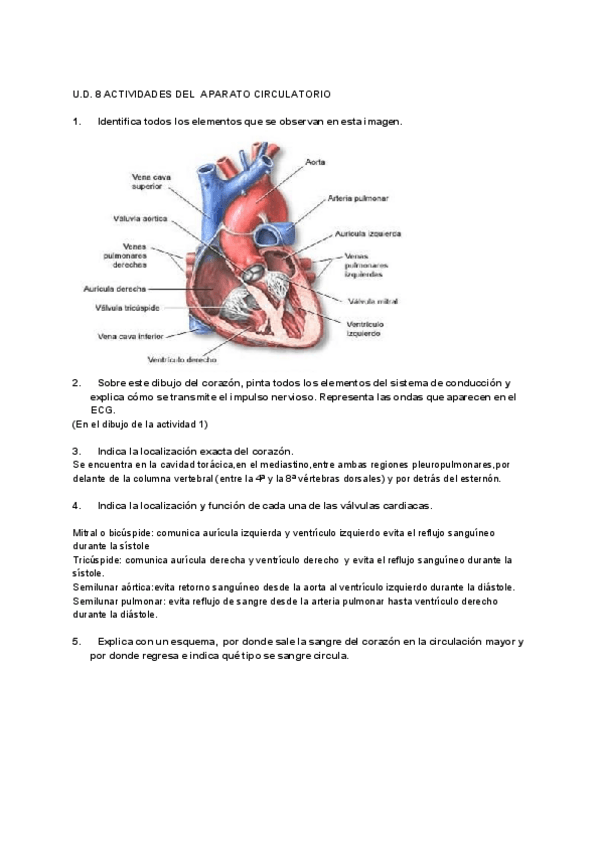 Miniatura del documento act-t8-fg.pdf