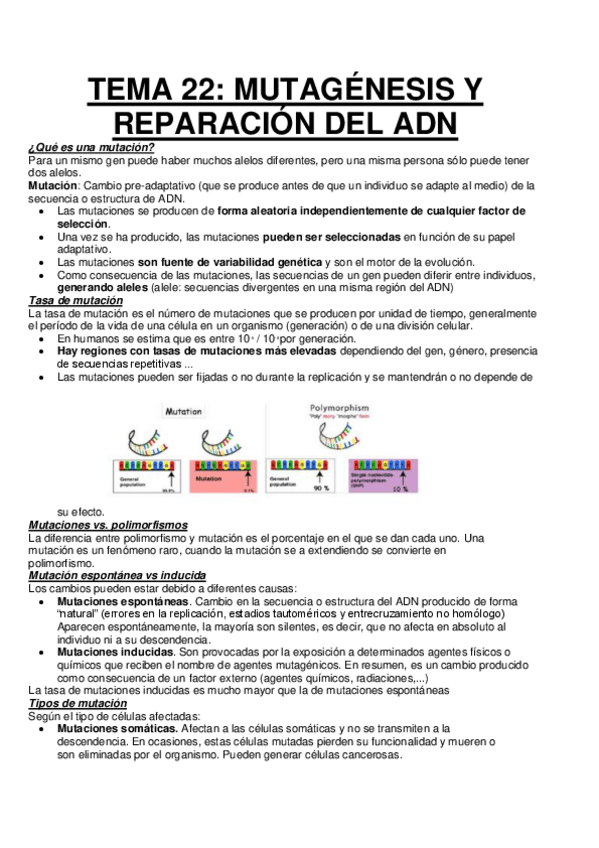 Miniatura del documento TEMA-6MUTACIONES.pdf