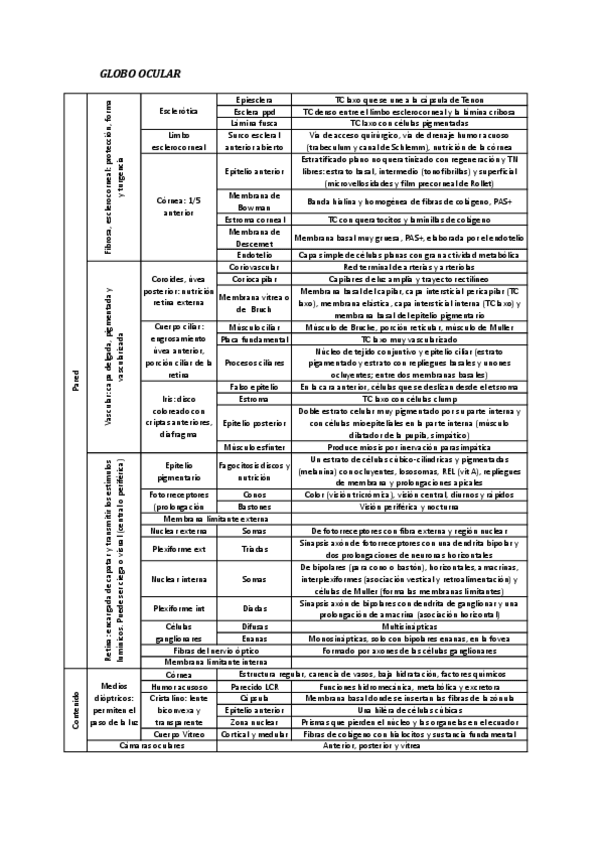 Miniatura del documento GLOBO-OCULAR.pdf