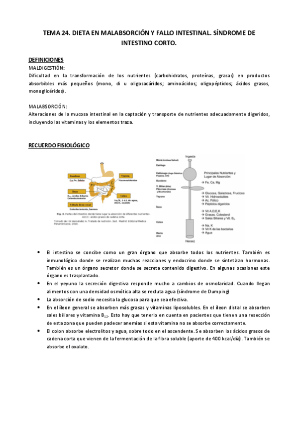 Miniatura del documento Tema 24.pdf